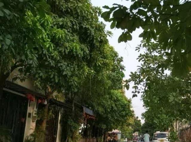 Nhà bán tại Thủ Đức, Hồ Chí Minh