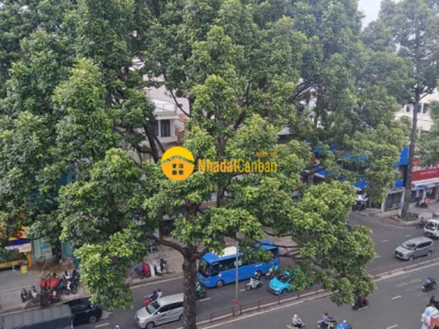 Nhà mặt phố bán