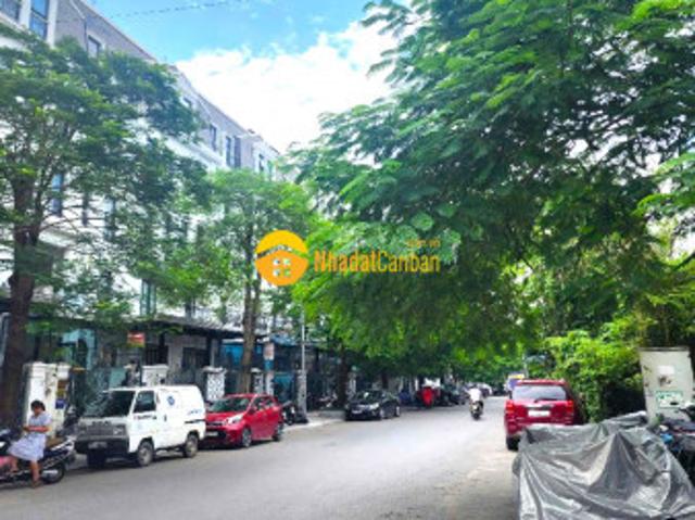 Biệt Thự bán