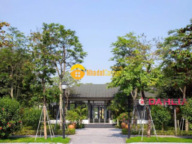 Nhà mặt phố bán