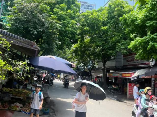 Biệt Thự bán tại Hoàn Kiếm, Hà Nội