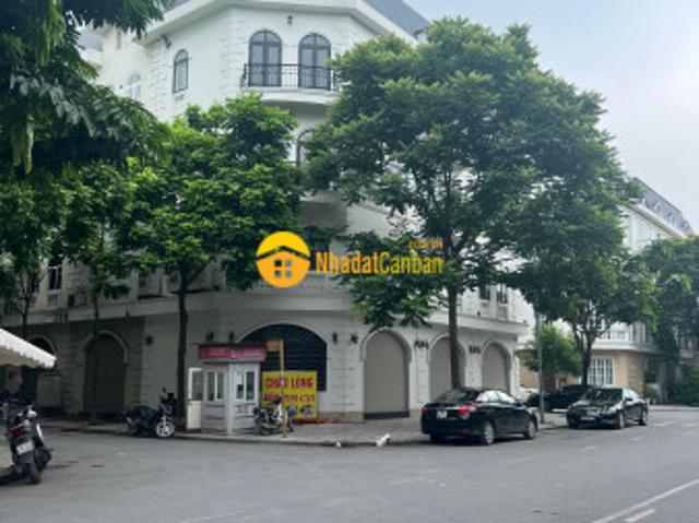 Biệt Thự bán
