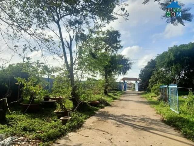 Nhà mặt phố bán tại Cà Mau