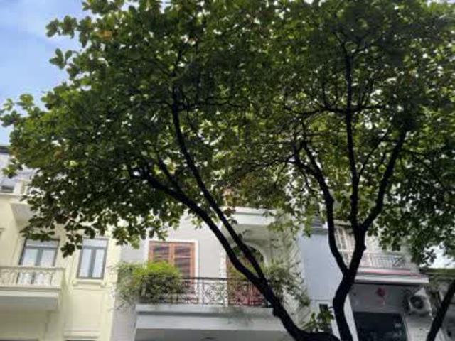 Nhà mặt phố bán tại Hoàn Kiếm, Hà Nội