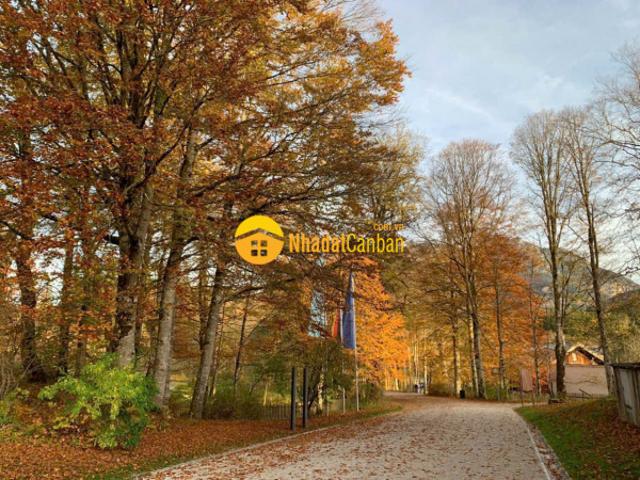 Nhà mặt phố bán