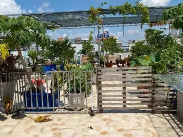Nhà mặt phố bán tại Khuôn viên UBND Thành phố Hồ Chí Minh, Thành phố Hồ Chí Minh