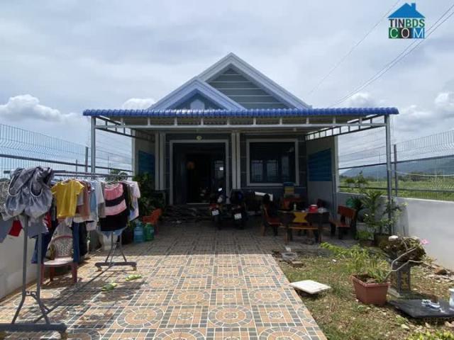 Nhà mặt phố bán