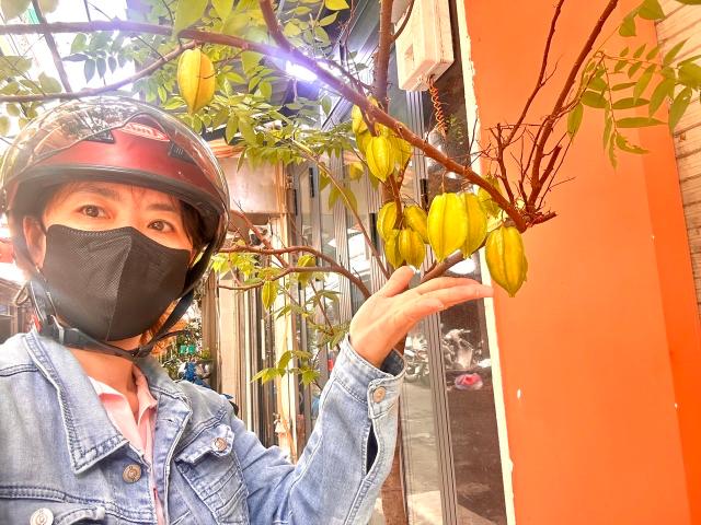 Nhà mặt phố bán