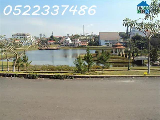 Nhà mặt phố bán