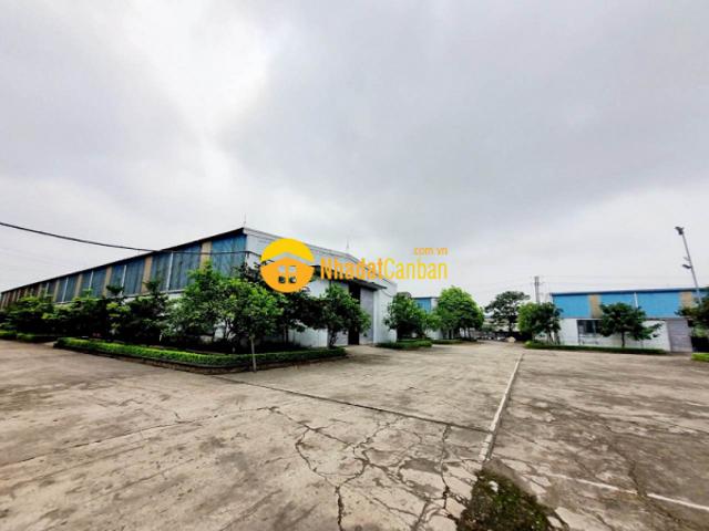 Kho xưởng bán