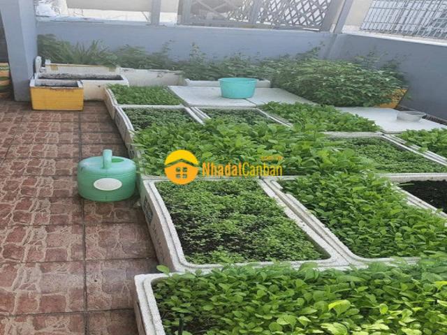 Nhà mặt phố bán