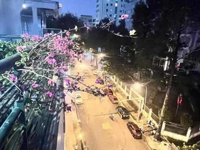 Nhà mặt phố bán tại Thủ Đức, Hồ Chí Minh
