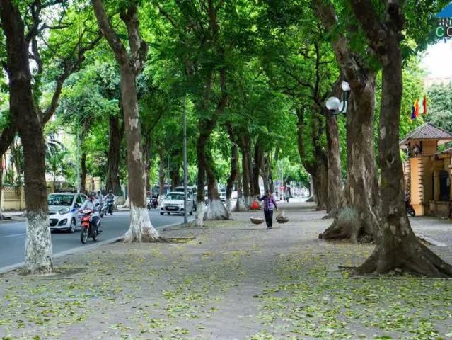 Nhà mặt phố bán tại Hoàn Kiếm, Hà Nội