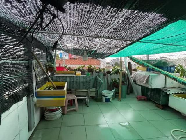 Nhà bán tại Khuôn viên UBND Thành phố Hồ Chí Minh, Thành phố Hồ Chí Minh