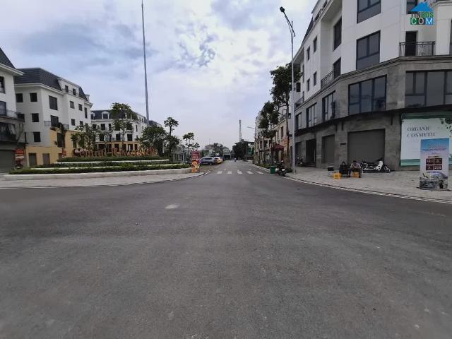 Biệt Thự bán