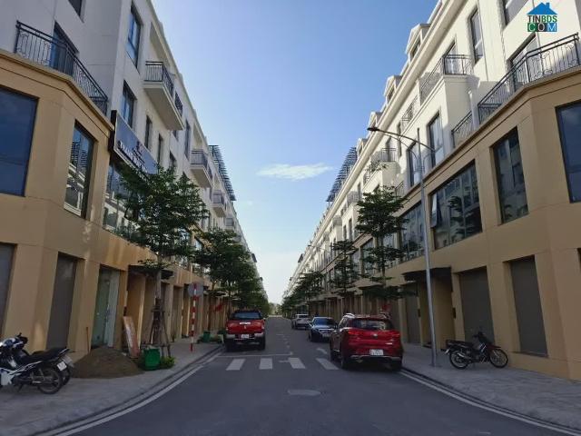 Biệt Thự bán