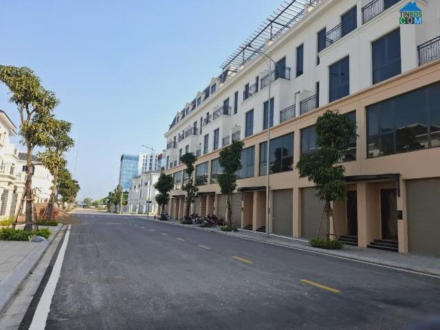 Biệt Thự bán