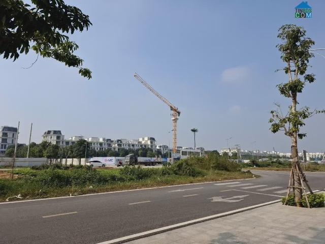 Biệt Thự bán
