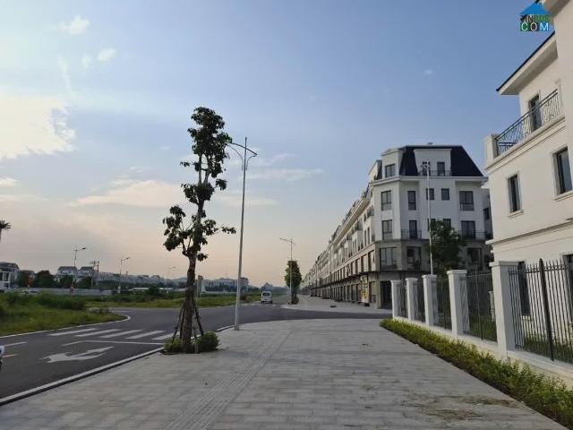 Biệt Thự bán