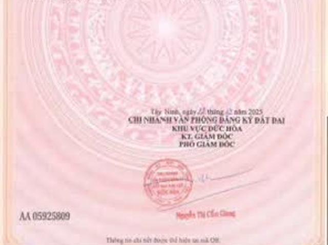 Biệt Thự bán