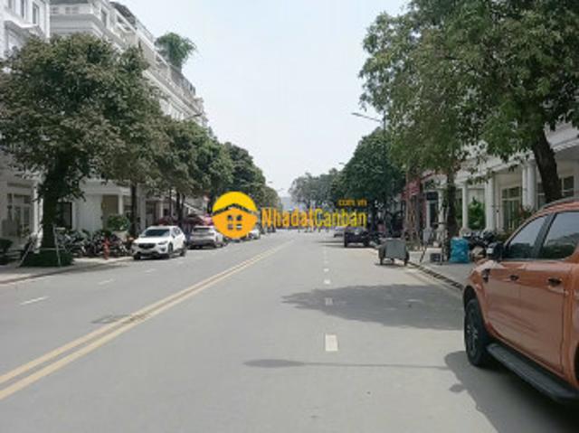 Biệt Thự bán