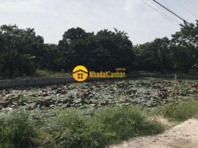 Căn hộ bán