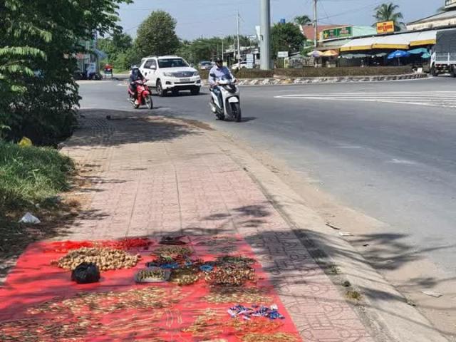Nhà mặt phố bán tại Đồng Nai