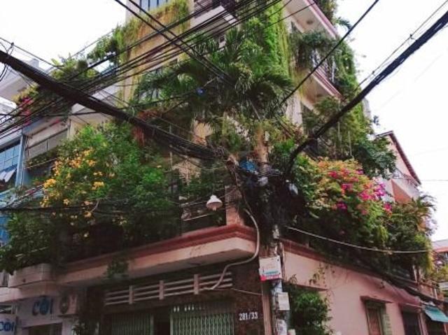Bất động sản bán tại Tân Bình, Hồ Chí Minh
