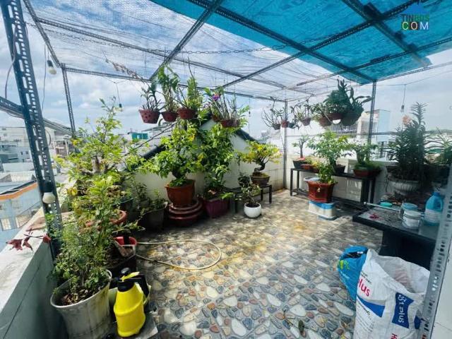 Nhà bán tại Thủ Đức, Hồ Chí Minh