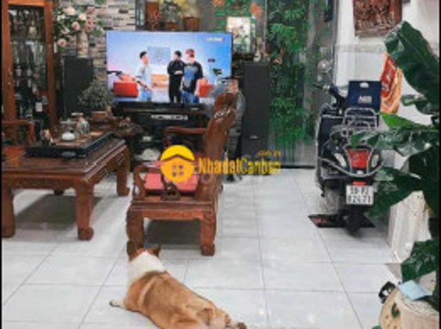Nhà mặt phố bán