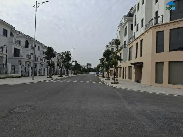 Biệt Thự bán