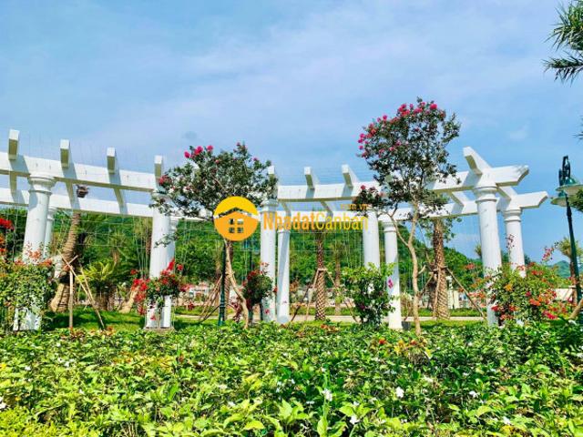 Biệt Thự bán