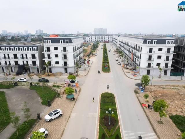 Biệt Thự bán