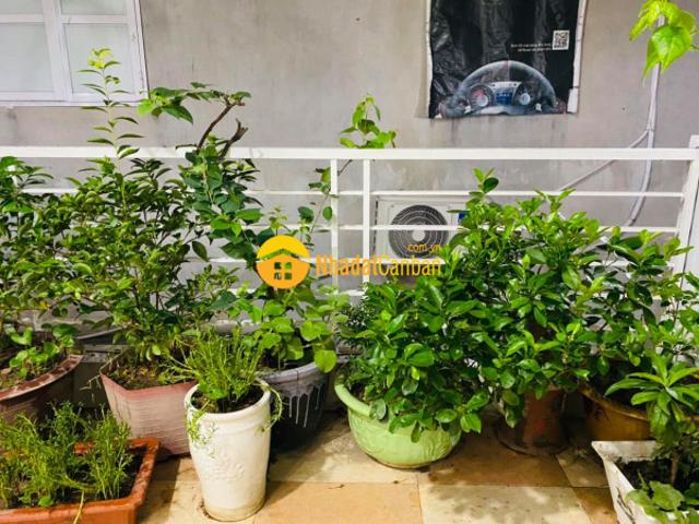 Nhà mặt phố bán