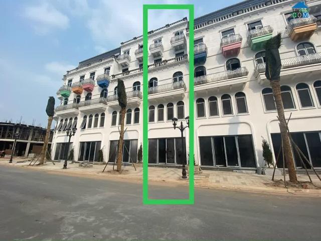 Biệt Thự bán