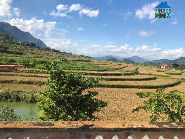 Nhà mặt phố bán