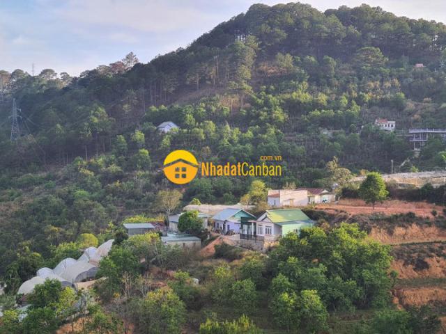 Nhà bán
