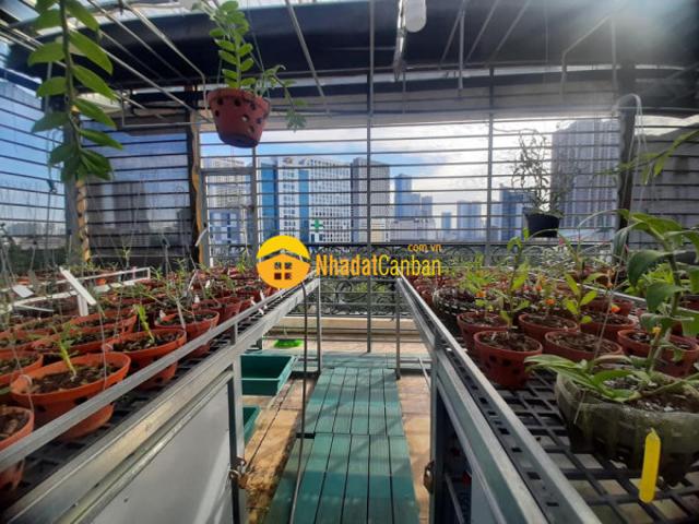 Nhà mặt phố bán