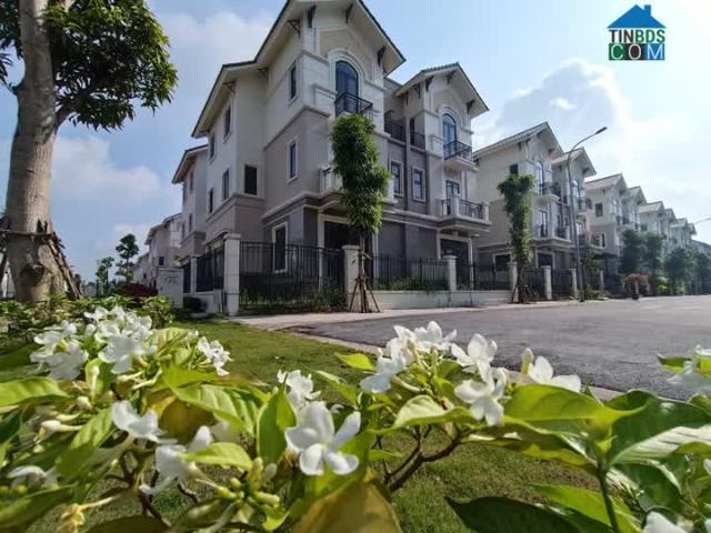 Biệt Thự bán tại Bắc Ninh