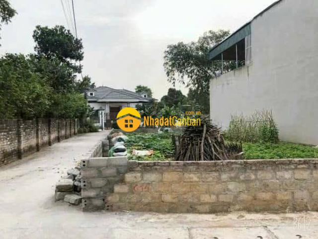 Mặt bằng bán