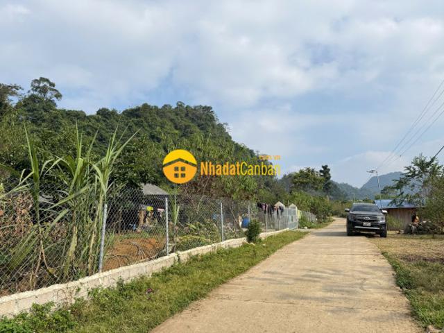 Mặt bằng bán