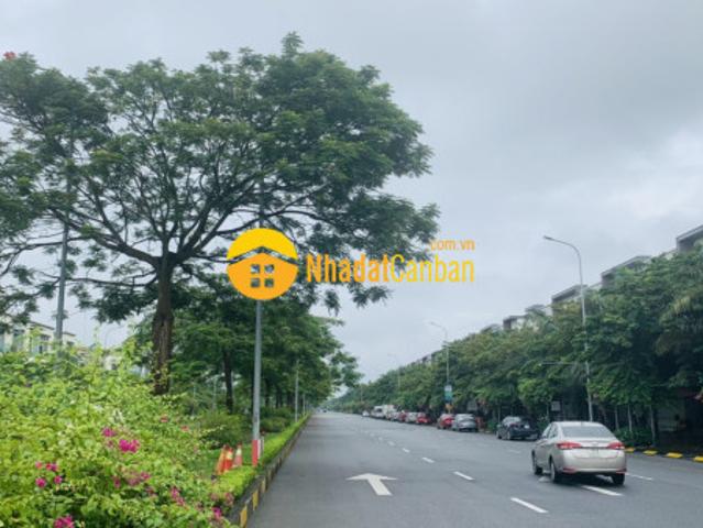 Biệt Thự bán