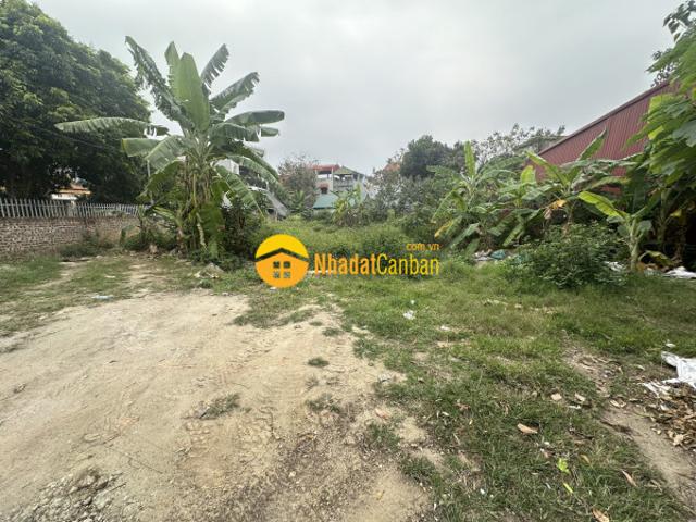 Mặt bằng bán