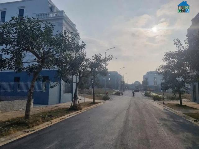 Biệt Thự bán