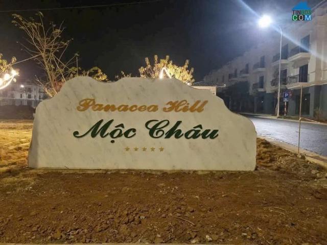 Biệt Thự bán