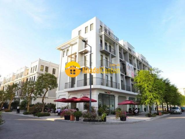 Biệt Thự bán
