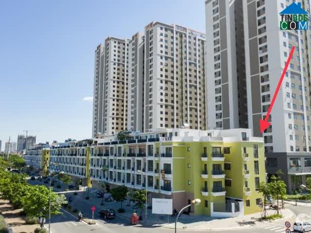 Biệt Thự bán tại Hoàn Kiếm, Hà Nội