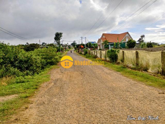 Mặt bằng bán
