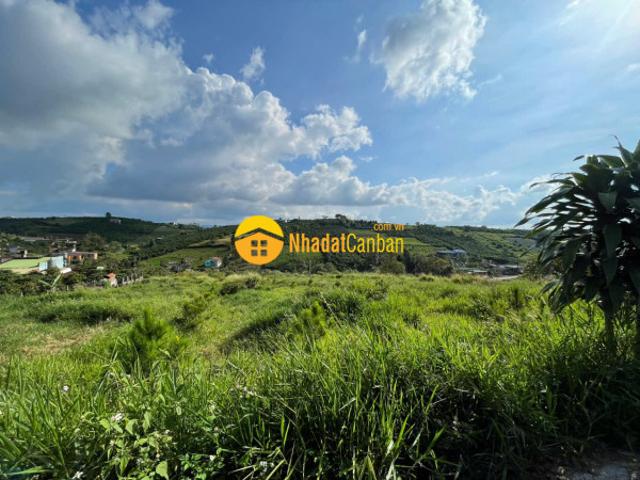 Mặt bằng bán