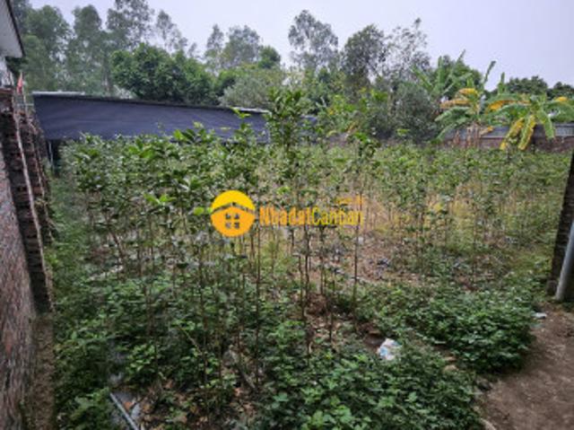 Mặt bằng bán
